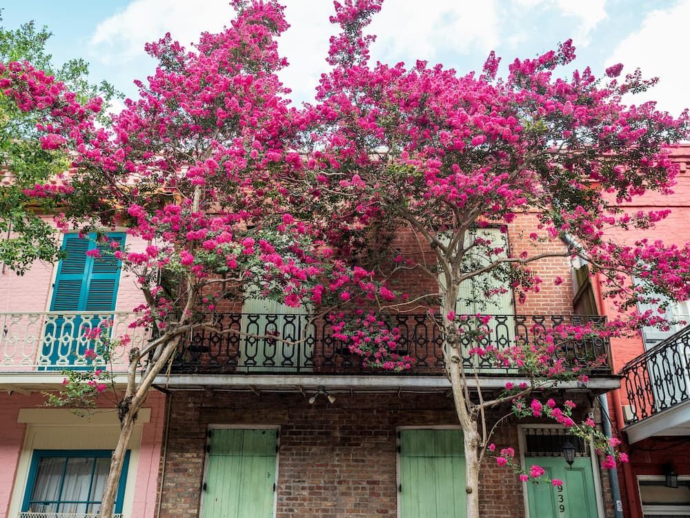 How to Get a Commercial Short-Term Rental Permit in New Orleans