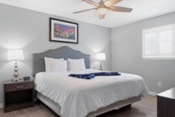 Frenchmen Fête: the Cadence