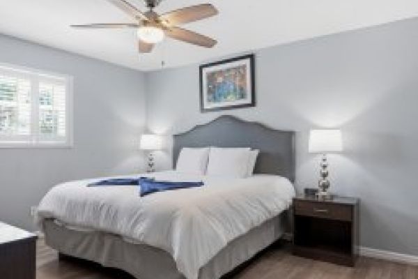 Frenchmen Fête: the Groove