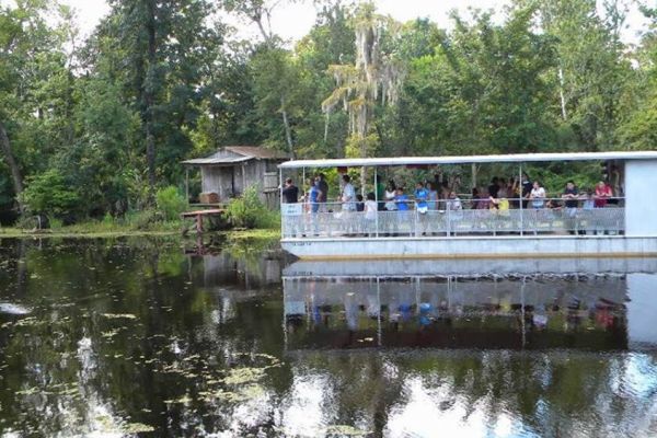 Jean Lafittes Swamp Tours