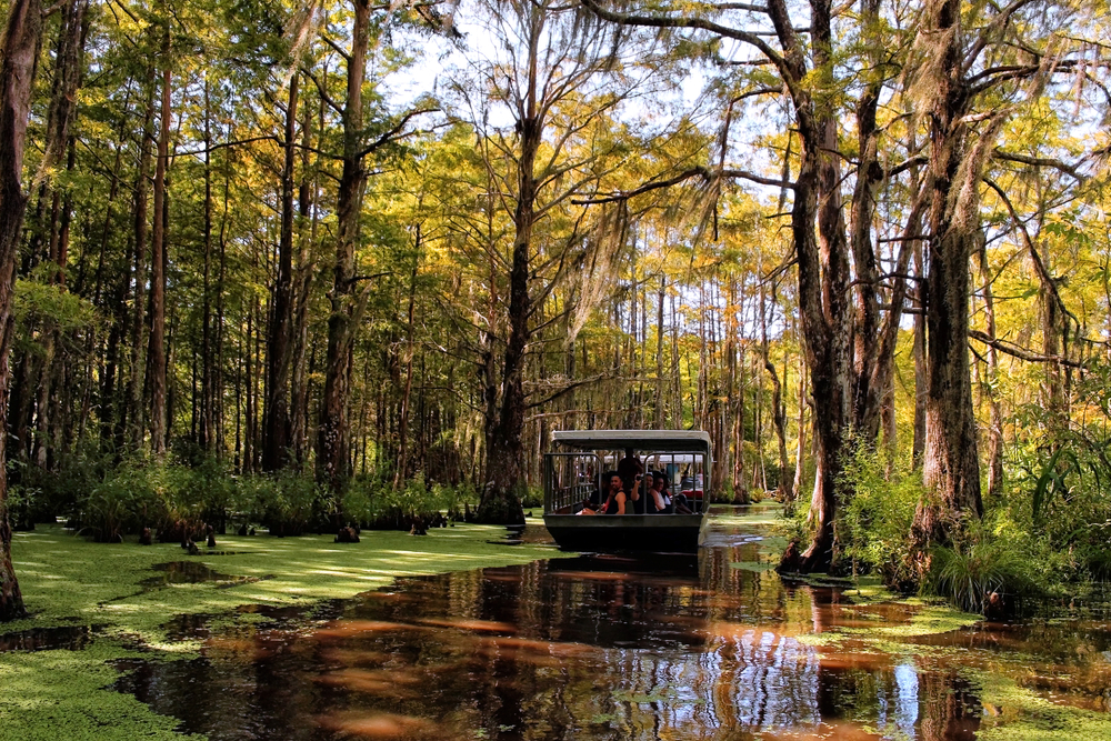 pet friendly swamp tours new orleans