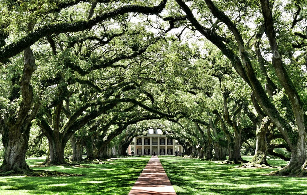 Why Summer is The Best Time to Visit New Orleans - Book NOLA
